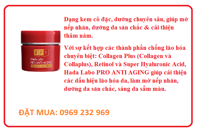 https://bbu.vn/storage/uploads/images/KEM 123.png